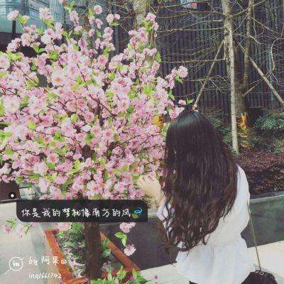 金沙app下载官网